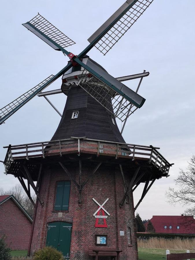 Kleinaberfein An Der Nordseekueste Schweindorf Zewnętrze zdjęcie